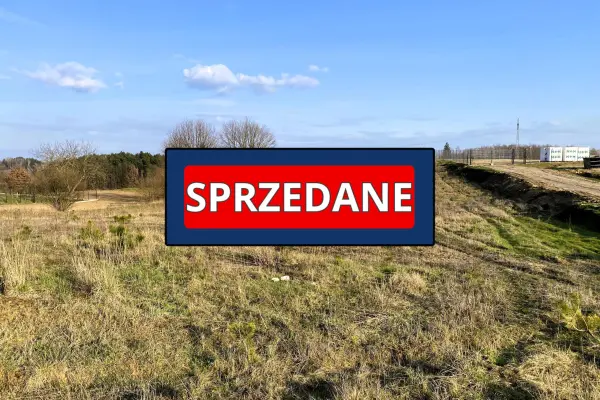 kujawsko-pomorskie, rypiński, Rypin, Sikory, Duża,kameralna działka 4000m2 blisko Rypina Sikory